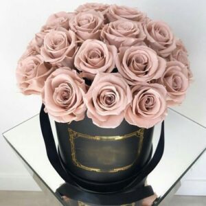 66387824 398289977485410 1910547283154820119 n.jpg