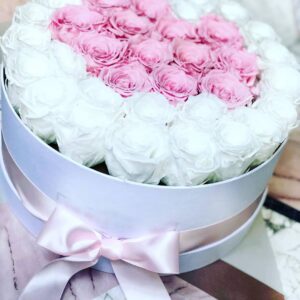 66476679 343675099869019 3768927350324971261 n.jpg