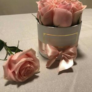 66823375 2363566080557931 4846599073899522158 n.jpg