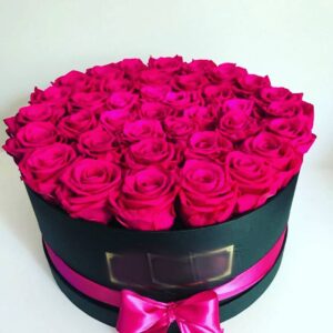 66894902 219316632318380 6837919341780626311 n.jpg