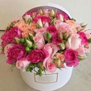 69156991 506316440116794 7370161073143658546 n.jpg