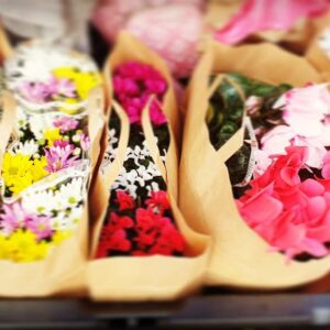 70130079 103615467651065 8356585275421149994 n.jpg