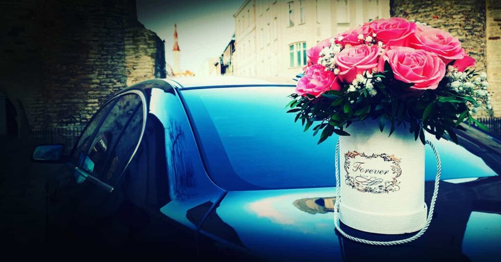 81166139 542737366588070 7986434412649887106 n.jpg