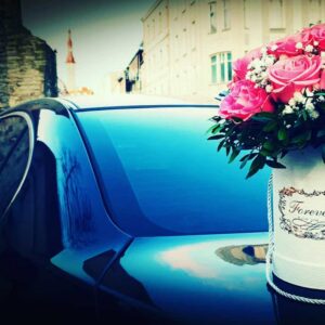 81166139 542737366588070 7986434412649887106 n.jpg